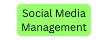 Social Media Management